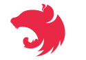NEST JS